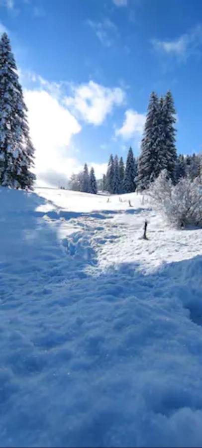 Cahute De Montagne Pour Profiter Du Haut Jura Premanon Exterior photo
